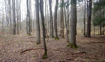 County Route 16, Angelica, NY 14709