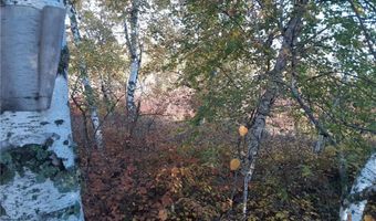 31538 County 23, Akeley, MN 56433