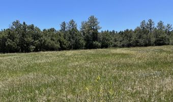 Forest Road 160, Chamisal, NM 87521
