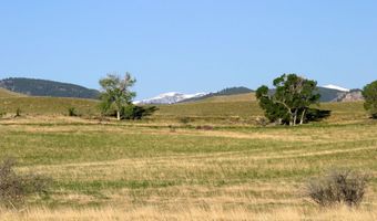 39 Hopkins Divide Loop, Buffalo, WY 82834