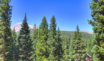 476 COUNTY ROAD 674, Breckenridge, CO 80424