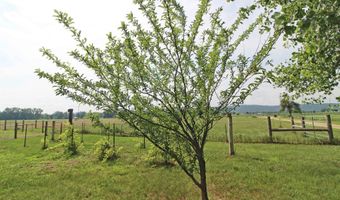 7750 Pine Rd, Arena, WI 53503