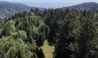 20452 Whaleshead Rd, Brookings, OR 97415