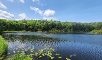 373 Brookline Rd, Athens, VT 05143
