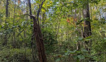 99999 Taft Ave, Asheville, NC 28803