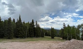 2 Skyline Terrace Ct, Beaver, UT 84713