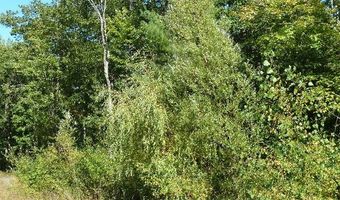 2228 Sommerset Dr Lot 12, Alpena, MI 49707