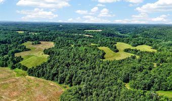 193 Ac Massa Rd, Baxter, TN 38544
