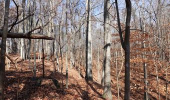 Virginia Ave lot 75, Bassett, VA 24055