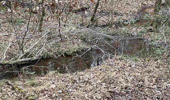 34655 Co Rd 49, Beaverton, AL 35544