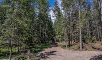 1365 MT Highway 209, Bigfork, MT 59911