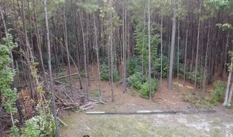 TBD Oglethorpe Dr, Andrews, SC 29510