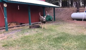 643 S Main St, Cascade, ID 83611
