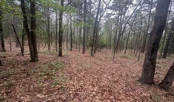 UNIT # 263B KIAMICHI WILDERNESS RD Unit # 63 63, Antlers, OK 74523