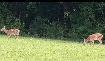 13521 Dykeland Rd, Amelia Court House, VA 23002