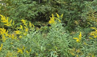 124-125 Prospect St 1230-VL00.0005  1230-VL0004, Barre, VT 05641