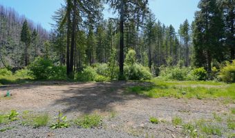 91303 BLUE RIVER Rd, Blue River, OR 97413