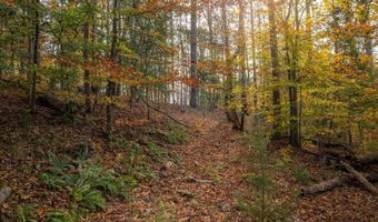 217 W Chapman Rd, Belton, SC 29627