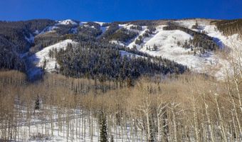 640 S Hayden Rd, Aspen, CO 81611