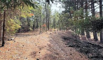 10 Acres County Road C, Arkdale, WI 54613