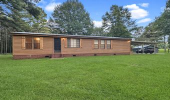 704 Pinola Braxton Rd, Braxton, MS 39044