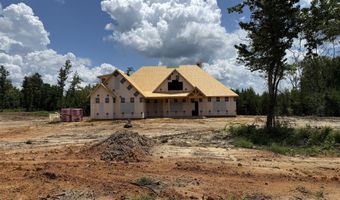 Lot 1 Silver Dollar, Barnesville, GA 30204