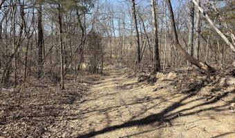 Rt 1 County Rd 14-531, Ava, MO 65608