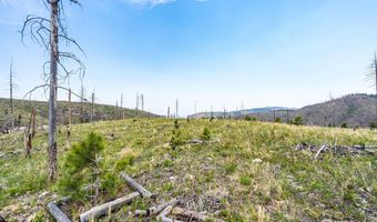 2384 Rist Creek Rd, Bellvue, CO 80512