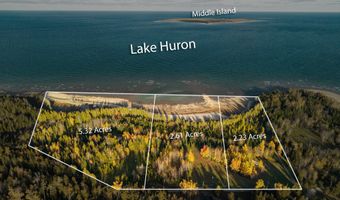 9415 Wreck Rd, Alpena, MI 49707