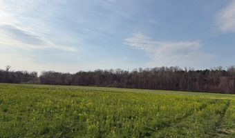 PAYNES POND RD, Arvonia, VA 23004