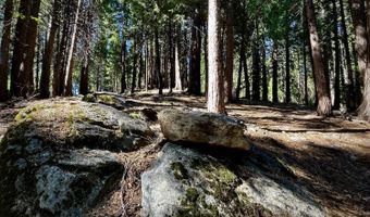 3285 Pocatello Cir, Camp Connell, CA 95223