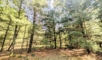 1031 Edgewood Ave, Adams, WI 53910