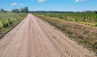 2000-4 Sellers Rd NW, Baxley, GA 31513