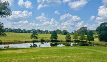 60327 Highway 445, Amite, LA 70422