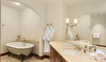 388 Exhibition Ln, Aspen, CO 81611