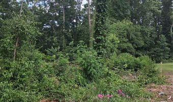 25 Oak Hill Dr 1, Asheville, NC 28806