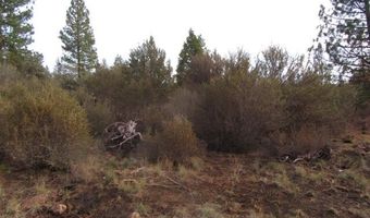 Polar Bear Lane lot 4, Bonanza, OR 97623