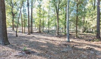 1809 Rosemary Cir, Bell, FL 32619