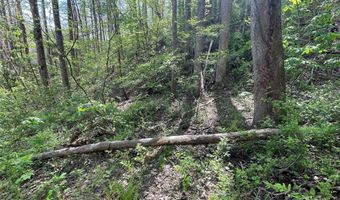 Martins Creek Road, Barnardsville, NC 28709