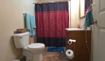 951 E County Road 206, Alton, MO 65606