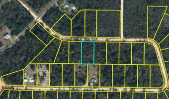 Deer Run Circle, Alford, FL 32420