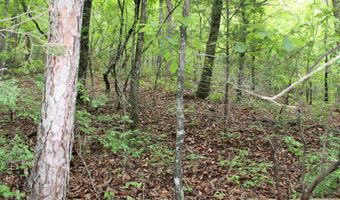 E Mountain Road, Bee Branch, AR 72013