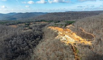 700 Acres Puncheon Creek Ln, Allred, TN 38542