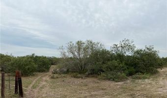 Cr-465, Alice, TX 78332