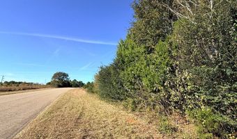 TBD US HWY 431, Abbeville, AL 36310