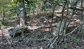 County Road 118, Annapolis, MO 63620