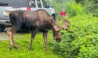 34683 Eklutna Lake Rd, Chugiak, AK 99567