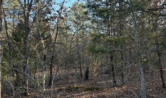Tract 2 Rural Atoka, Atoka, OK 74525