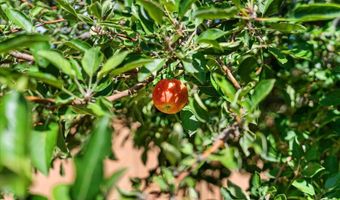 1566 Essex Way, Chino Valley, AZ 86323