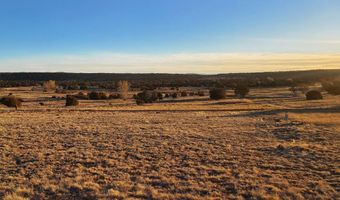 1 3 County Road 5088, Concho, AZ 85924